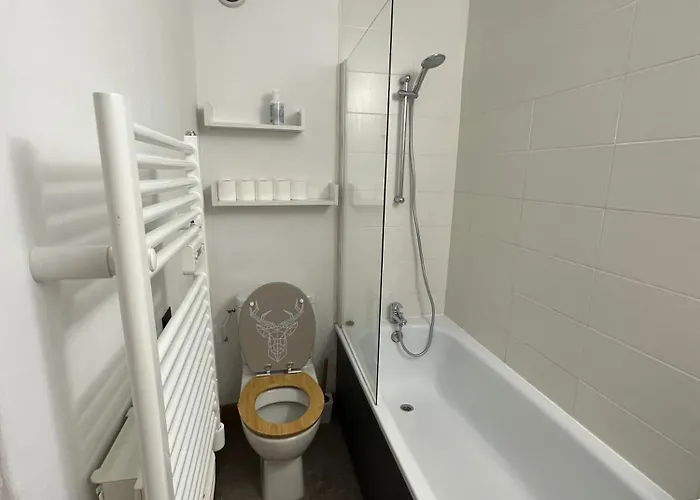 Apartment Paquebot Des Neiges - 4 Personnes - Vue Mont Blanc *