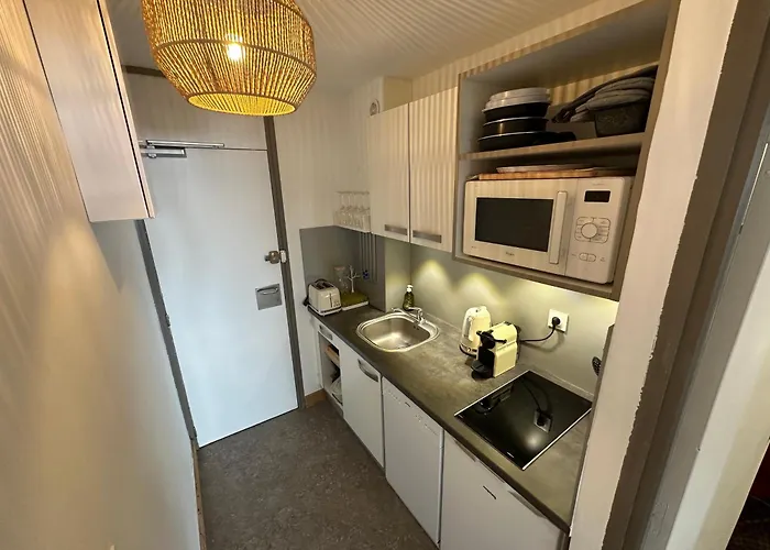 Paquebot Des Neiges - 4 Personnes - Vue Mont Blanc